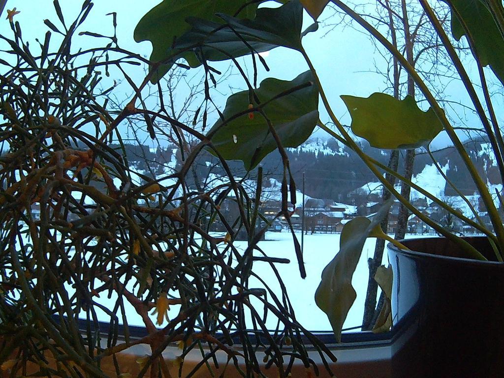 Pension Alpenblick Schattwald Exterior foto